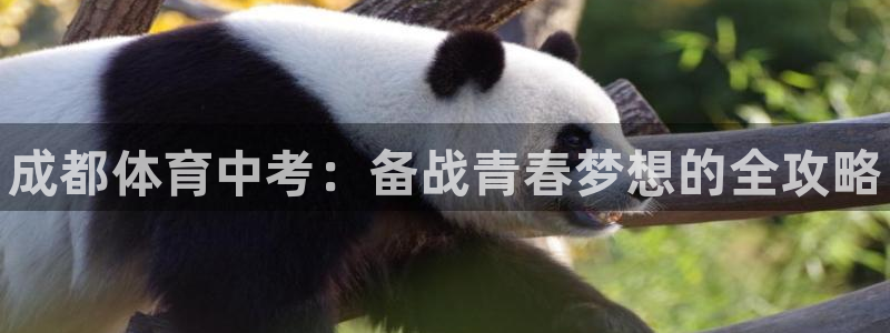 焦点娱乐平台总代理开户：成都体育中考：备战青春梦想的