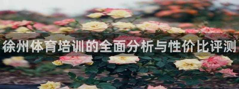 焦点娱乐不出款怎么回事：徐州体育培训的全面分析与性价