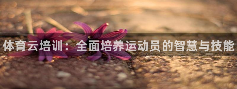 焦点娱乐官网下载苹果手机版：体育云培训：全面培养运动