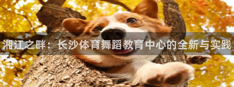 焦点娱乐官网首页下载手机版：湘江之畔：长沙体育舞蹈教