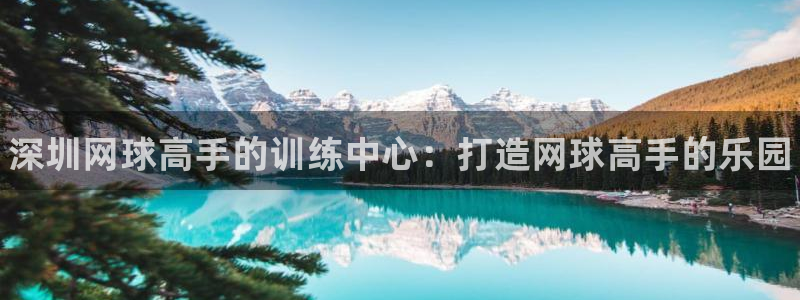 焦点娱乐App下载：深圳网球高手的训练中心：打造网球