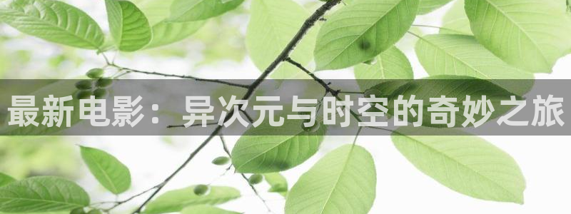 黑蚂蚁影视网：最新电影：异次元与时空的奇妙之旅
