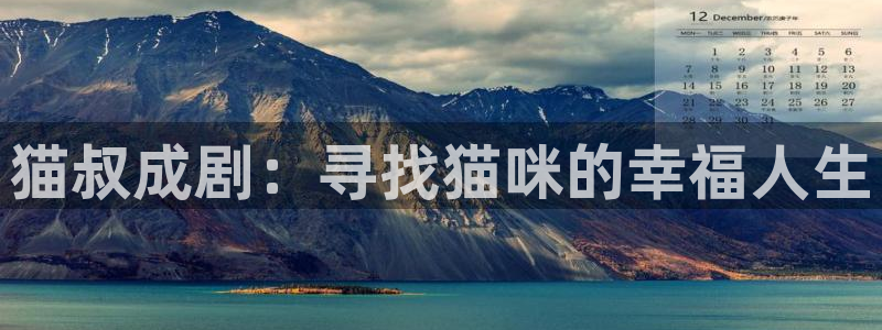 黑蚂蚁影视全部电视剧：猫叔成剧：寻找猫咪的幸福人生