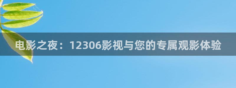 黑蚂蚁影视：电影之夜：12306影视与您的专属观影体验