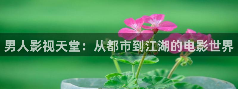 黑蚂蚁影视电视：男人影视天堂：从都市到江湖的电影世界