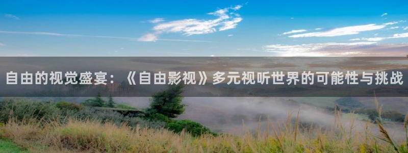 黑蚂蚁影视公司：自由的视觉盛宴：《自由影视》多元视听世界的可能性与挑战