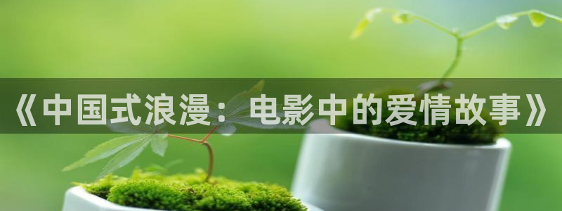 黑蚂蚁影视公司：《中国式浪漫：电影中的爱情故事》