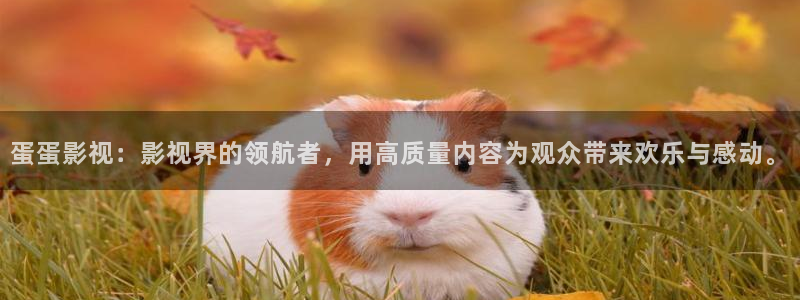 黑蚂蚁影视大全：蛋蛋影视：影视界的领航者，用高质量内容为观众带来欢乐与感动。