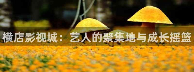 黑蚂蚁黑蚂蚁影视：横店影视城：艺人的聚集地与成长摇篮