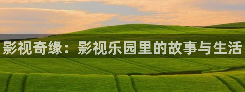 黑蚂蚁影视剧电视剧：影视奇缘：影视乐园里的故事与生活