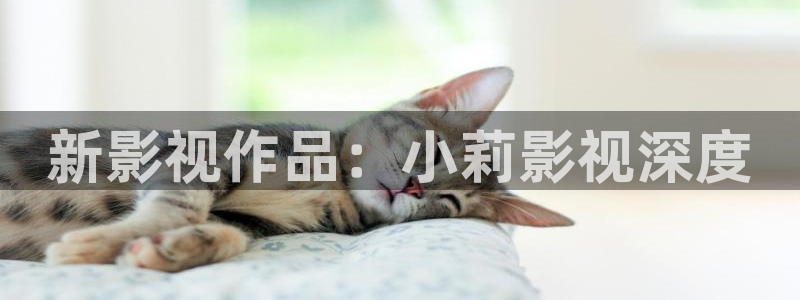 黑蚂蚁影视剧免费：新影视作品：小莉影视深度