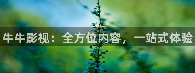 黑蚂蚁黑蚂蚁影视：牛牛影视：全方位内容，一站式体验