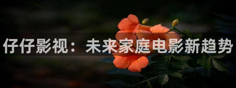 黑蚂蚁影视剧官：仔仔影视：未来家庭电影新趋势