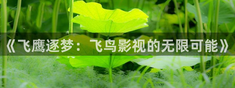 黑蚂蚁影视平台官网：《飞鹰逐梦：飞鸟影视的无限可能》